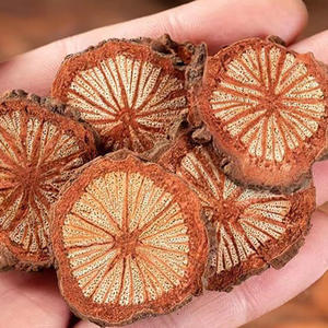 中国の野生のハーブ薬Danshen Chuanxiongタブレット止血茶醸造ウェルネス健康製品バッグ包装 - Product Image 4