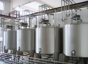 Schlüssel fertiges Projekt für Wolf berry Raw <span class=keywords><strong>Pulp</strong></span>, Wolf berry Raw <span class=keywords><strong>Pulp</strong></span> und Wolf berry Beverage Production Lines - Product Image 3