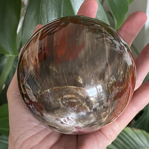 Wholesale Natural Petrified <b>Wood</b> Sphere Polished Fossil Crystal <b>Ball</b> For Healing Decoration Crystal for Meditation Home Decor - Product Image 1