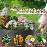 Usine directement vente robuste en plastique résine bol planteur pot pierre-comme lotus pots de fleurs pour intérieur extérieur maison plantes