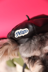 JXANRY Hunde zubehör Foto Konkave Form Hündin Zubehör Haustier bedarf Dekorierter Kürbis hut - Product Image 3