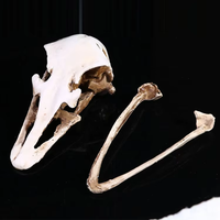 Figurine en résine SKE11 peinte à la main, animal réaliste, objet d'art et de collection pour la décoration de la maison et du bar, décoration d'Halloween