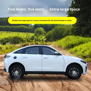 Vehículo eléctrico de cuatro ruedas de nueva energía de lujo para uso doméstico eléctrico de doble gas (<span class=keywords><strong>mujeres</strong></span> adultas) nuevo modelo de coche con batería para - Product Image 4