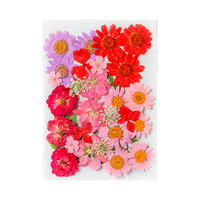 Nouveau Design Vente Chaude Naturel Séché Micro-ondes Kits de Presse Fleurs Art en Résine Fleurs Séchées Pressées