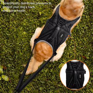 Conjunto de Arnés <span class=keywords><strong>Canicross</strong></span> para Perro con Cinturón y Correa Amortiguadora, Arnés Ajustable para Correr, Senderismo y Ciclismo para <span class=keywords><strong>Perros</strong></span> Grandes - Product Image 2