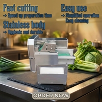 Multifunctionele Groene Ui Groentechopper/Snijmachine/Fruitsnijder