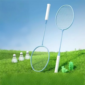 Vente en gros d'usine, logo personnalisé, OEM, ensembles de raquettes de <span class=keywords><strong>badminton</strong></span> en fer bon marché et durables pour débutants - Product Image 5