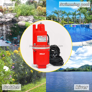 Pompe vibrante à membrane submersible 110V 220V 300W 1100LPH 300GPH 0.4HP haute pression 50m boîtier en acier moulé pompe de puits profond - Product Image 6