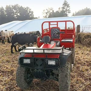 NOUVEAU Tricycle à Benne Basculante Tout-Terrain de Grande Capacité et de Haute Qualité, Moteur à Essence - En Promotion - Product Image 4