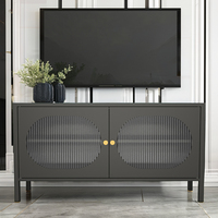 Meuble TV en acier, mobilier moderne pour salon, combinaison meuble TV et table basse avec rangement, acceptation ODM