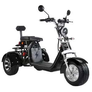 Tricycle citycoco pour adulte à trois roues avec batterie de 40ah