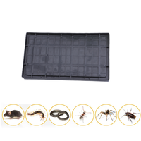 Colle adhésive noire en plastique pour souris et rat Colle adhésive pour souris Piège à colle pour rat