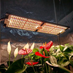 Hiệu Quả Cao 688 LED IP65 Không Thấm Nước 240W <span class=keywords><strong>Samsung</strong></span> Lm281B Lm301H 660nm Mix 730nm UV IR Trong Nhà Phát Triển Ánh Sáng LED Nhà Máy Ánh Sáng - Product Image 6