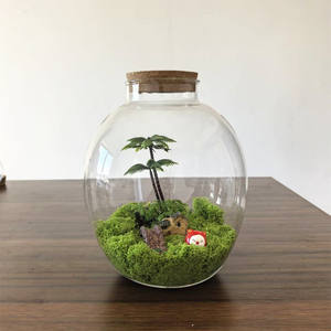 Jarrón <span class=keywords><strong>de</strong></span> Vidrio <span class=keywords><strong>de</strong></span> Diseño Único, Exhibición <span class=keywords><strong>de</strong></span> Plantas Aéreas <span class=keywords><strong>de</strong></span> <span class=keywords><strong>Mesa</strong></span>, Terrario <span class=keywords><strong>de</strong></span> Vidrio con Tapa <span class=keywords><strong>de</strong></span> <span class=keywords><strong>Corcho</strong></span> <span class=keywords><strong>para</strong></span> Decoración del Hogar - Product Image 1