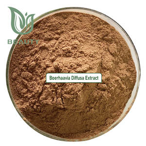 बोहेविया डिफ्यूसा निकालने पाउडर 100% शाकाहारी जैविक हर्बल पूरक पसारनवा रूट अर्क आयुर्वेदिक दवा 500 ग्राम - Product Image 2