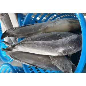 Vente populaire prix de gros africain en vrac Bullhead ou poisson-chat congelé IQF pour l'exportation - Product Image 3