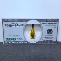Présentoir et glorificateur de bouteilles LED en acrylique avec logo personnalisé, support de présentation de billets de 100 USD pour bars, discothèques, services VIP, Pâques