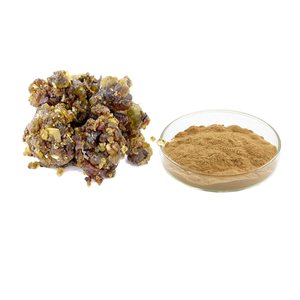 20:1Commiphora Mukul chiết xuất 2.5% 5% 10% guggulsterones gugguggul chiết xuất Myrrh chiết xuất bột - Product Image 1