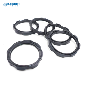 Guarnizioni Kairuite KP221 in NBR/FKM |   Anelli per Pistone Cilindro Tipo <span class=keywords><strong>AEI</strong></span>/HC Durevoli - Product Image 1