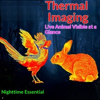 Appareil de vision nocturne infrarouge HD Reimai NBDXJJ24 pour l'observation des oiseaux, caméra thermique, équipement de plein air