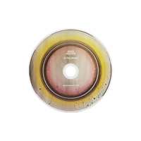 Disco de CD de Audio con Diseño Artístico Pintado, CD con Diseño de Retrato en Acuarela para Lanzamientos de Álbumes Artísticos