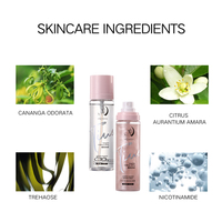 OEM Private Label Spray de fixation pour le contrôle de l'huile rose vegan pour le maquillage du visage Spray de finition longue durée Spray de fixation mat