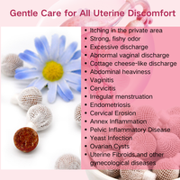 Perles de désintoxication Yoni pour femmes, soin entièrement naturel à base de plantes chinoises, désintoxication vaginale, anti-inflammatoire, contrôle des odeurs, nettoyage de la zone intime