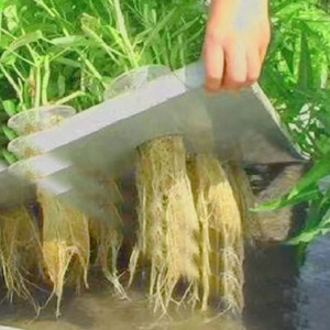 Panneau <span class=keywords><strong>de</strong></span> <span class=keywords><strong>mousse</strong></span> <span class=keywords><strong>de</strong></span> radeau flottant EVA personnalisé plaque <span class=keywords><strong>de</strong></span> <span class=keywords><strong>mousse</strong></span> <span class=keywords><strong>de</strong></span> croissance XPS conseil pour système <span class=keywords><strong>de</strong></span> culture <span class=keywords><strong>de</strong></span> légumes hydroponiques - Product Image 4