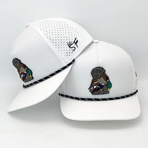 Mũ bóng chày, mũ golf chất lượng cao, chống thấm nước, có lỗ đục laser tùy chỉnh, làm từ chất liệu PVC cao su, dùng cho biểu diễn ngoài trời - Product Image 5