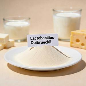 ผงแลคโตบาซิลลัส delbrueckii เกรดอาหาร100B IS022000/9001 cert. สำหรับผลิตภัณฑ์นม - Product Image 1