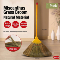 Balai artisanal en plantes naturelles pour intérieur et extérieur, idéal pour la cour, le garage, la pelouse, le sol, avec manche, pour balayer les routes