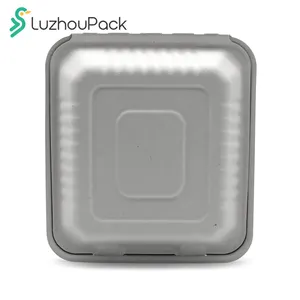 LuzhouPack personnalisé Rectangle biodégradable jetable canne à sucre Bagasse alimentaire déjeuner emballage pour boîte de pulpe de papier alimentaire