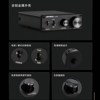 A1001 Profesyonel Mini 100W Subwoofer Amfi Sınıf D DSP HiFi Mono Dijital Yüksek Güçlü Alüminyum Alaşımlı Ev İçin