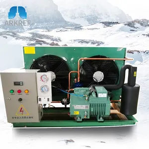 ARKREF R404a R134a R507a Refrigerant Industrial Refrigeration Condensing Units Cooling Equipment For Blast Freezer Cold Room