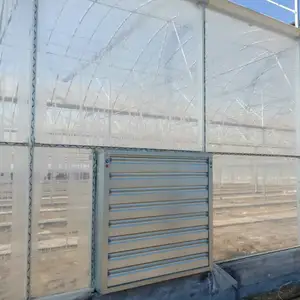 commercial multi span greenhouse hydroponics with cooling system