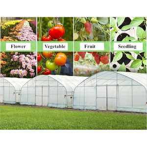 Serre agricole tunnel monopente en PE de haute qualité, petite taille, facilement assemblable, avec couverture en film pour la culture de tomates/concombres - Product Image 4
