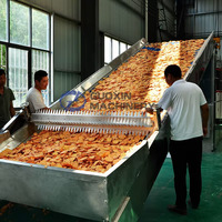 Sécheuse à bande maillée de haute qualité pour légumes, machine à sécher les tranches d'oignons, sécheuse à bande maillée pour les écorces d'orange