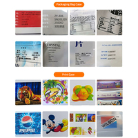 Imprimante numérique à jet d'encre CMYK pleine couleur à passage unique la plus petite pour sacs non tissés, sacs de shopping, gobelets en papier, ventilateurs