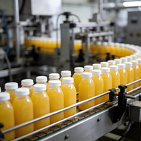 Automatische dranken- en sapvulfabriek 10000BPH 0,5L/500ml PET flesvulfles- en afsluitmachine
