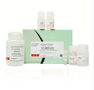 Tampón de extracción de transferencia Western listo para usar para la eliminación de anticuerpos Servicios químicos personalizados para regenerar membranas para reprobar - Product Image 2