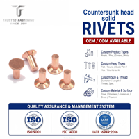 Rivets à tête fraisée en fer/cuivre personnalisés Tianfang pour fixations industrielles, fabricants de travaux métalliques de haute résistance