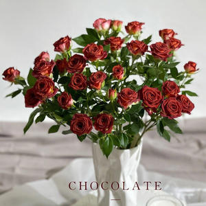 Yunnan ช่อดอกไม้ที่ใช้ในครัวเรือนที่หรูหราทำด้วยมือช่อกุหลาบฐานผมตรงยกน้ำ - Product Image 4