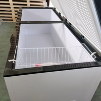 Congelador Horizontal Comercial de Una Sola Temperatura, Eficiente Energéticamente y Compacto, en Oferta a Buen Precio