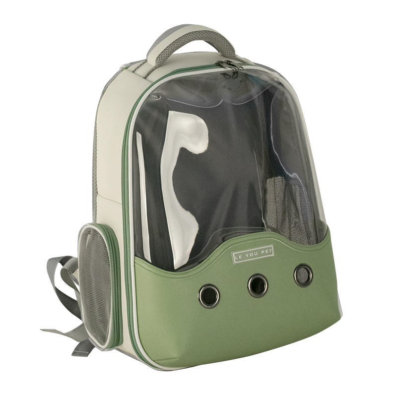 สีเขียวและสีขาว