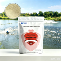 Eucommia-Blatt-Pflanzenextrakt fördert die Blutproduktion und reguliert die Blutzirkulation.