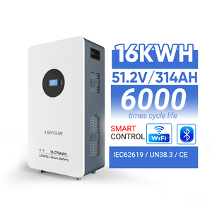 แบตเตอรี่ลิเธียมไอออน Lovsun Split Factory Price 51.2V 314Ah 16kWh ระบบกักเก็บพลังงานภายในบ้าน ระบบสำรองไฟฟ้าพลังงานแสงอาทิตย์ CAN OMS48100 คุณภาพสูง - Product Image 1