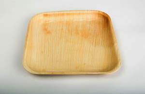 Plato Cuadrado de Hoja de Areca de 8 Pulgadas, Ecológico, Desechable, Biodegradable, Vajilla de Hoja de Palma, Proveedor al por Mayor en India - Product Image 4