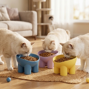 Offre Spéciale – Gamelle surélevée à trois pieds en plastique, inclinée et anti-renversement pour chats et chiens – Gamelle d'alimentation et d'eau – Fournitures pour animaux de compagnie en gros à prix abordable - Product Image 3