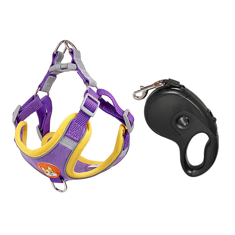 Morado [con cuerda retráctil de 5 metros]