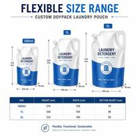 Pochette Doypack personnalisée avec bec verseur 500ml 1L avec poignée pour emballage de recharge de détergent liquide lessive